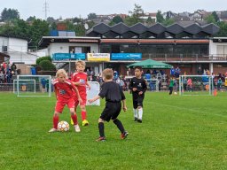 Süwagcup Pfingsten 2024